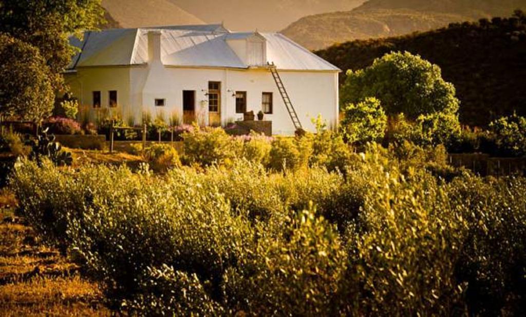Vrisch Gewagt Boutique Self-Catering Olive Farm Guest House Принс Алберт Екстериор снимка